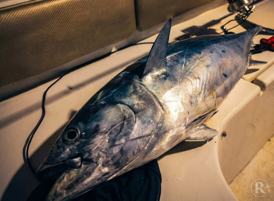 Aquaholic Fishing Charter