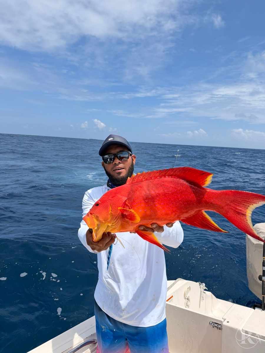 Guided Fishing Trips 