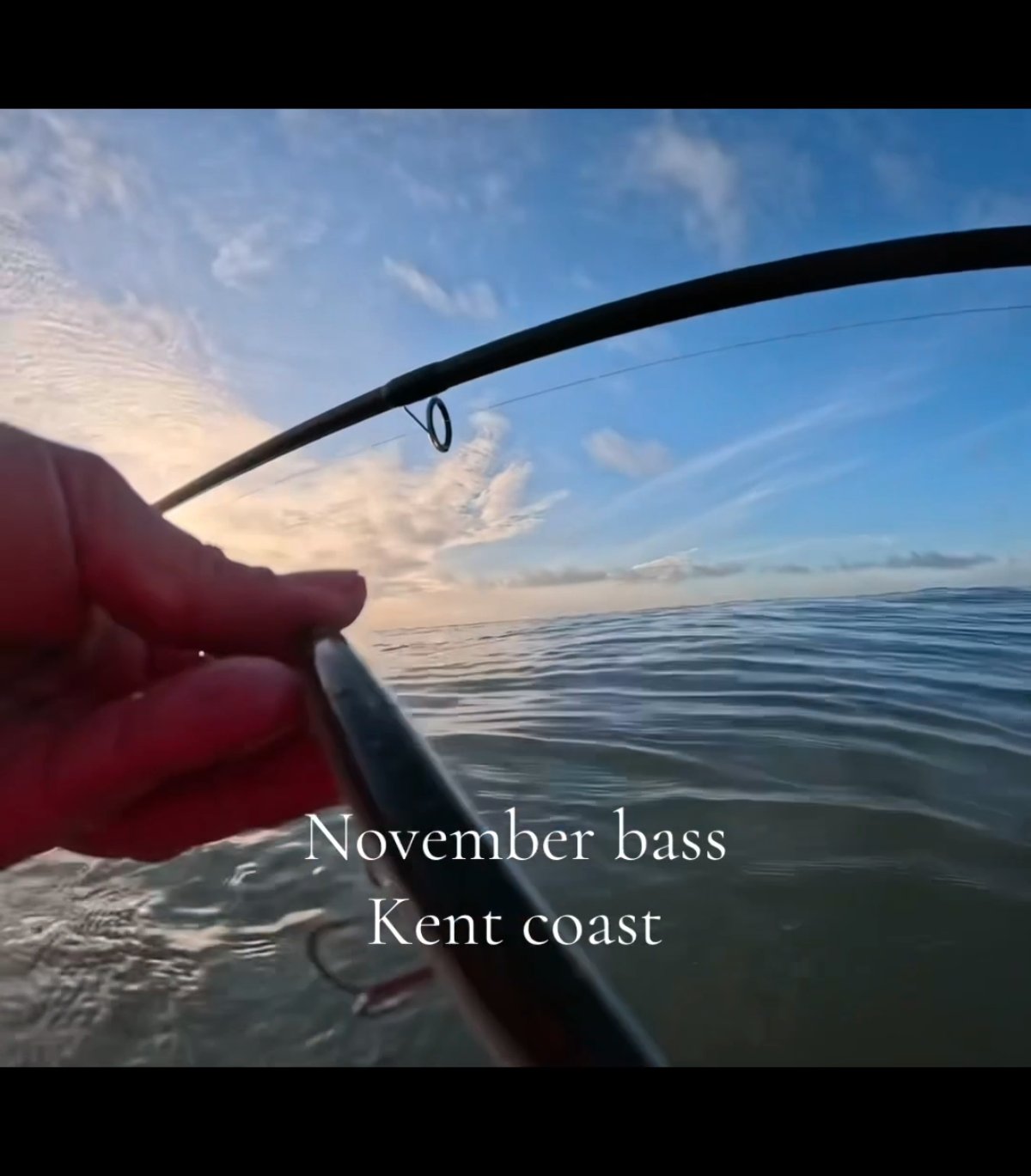 topspotfishing