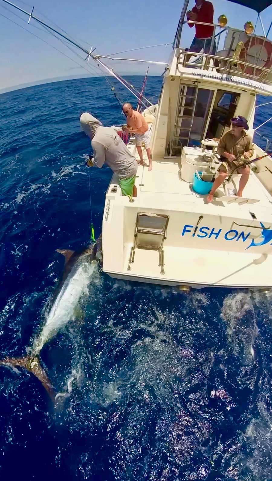 Bottom fishing 6 hours 