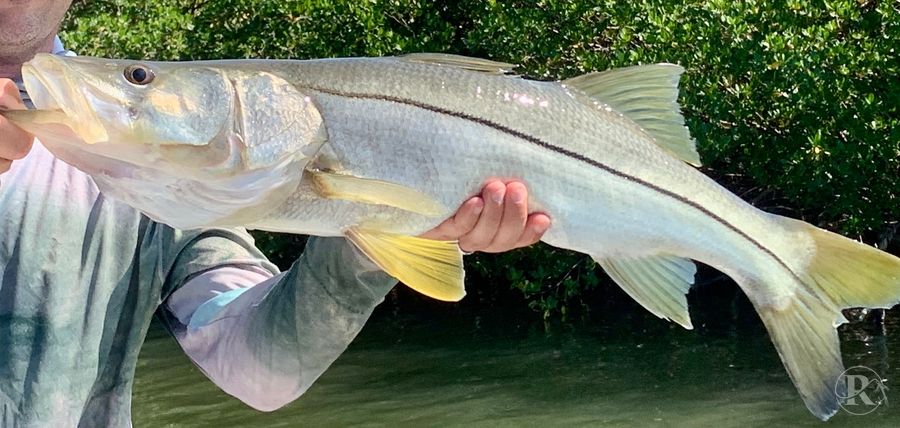 All 4 Chuck Fishing Charters — Cape Coral, FL