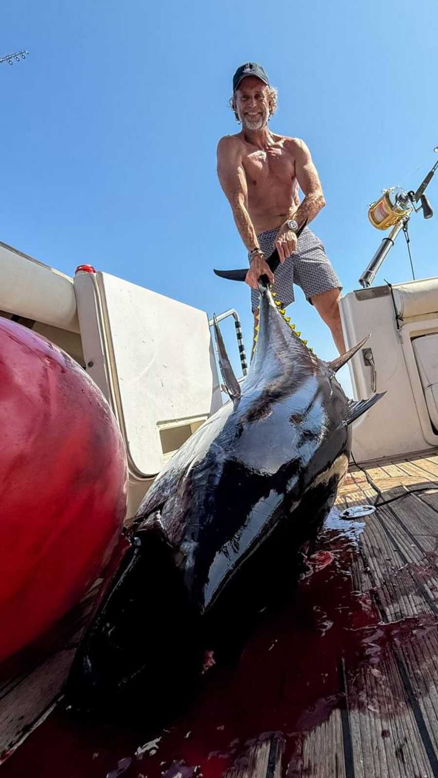 La Faeton Blue Marlin