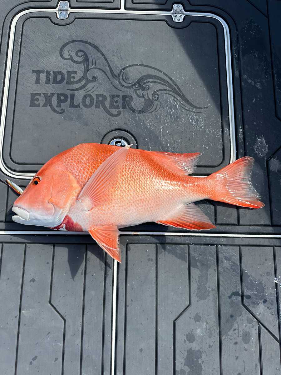 Full  Day Fishing Trips in Maldives