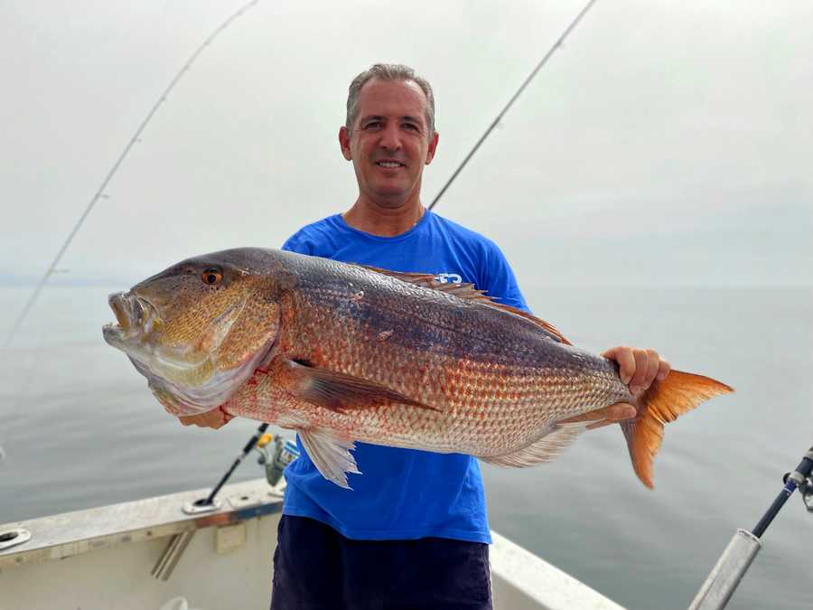 La Faeton Blue Marlin