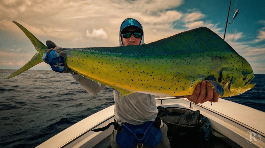 Guided Fishing Trips 