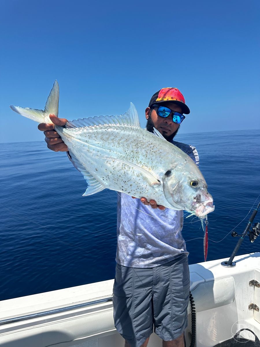 Guided Fishing Trips 