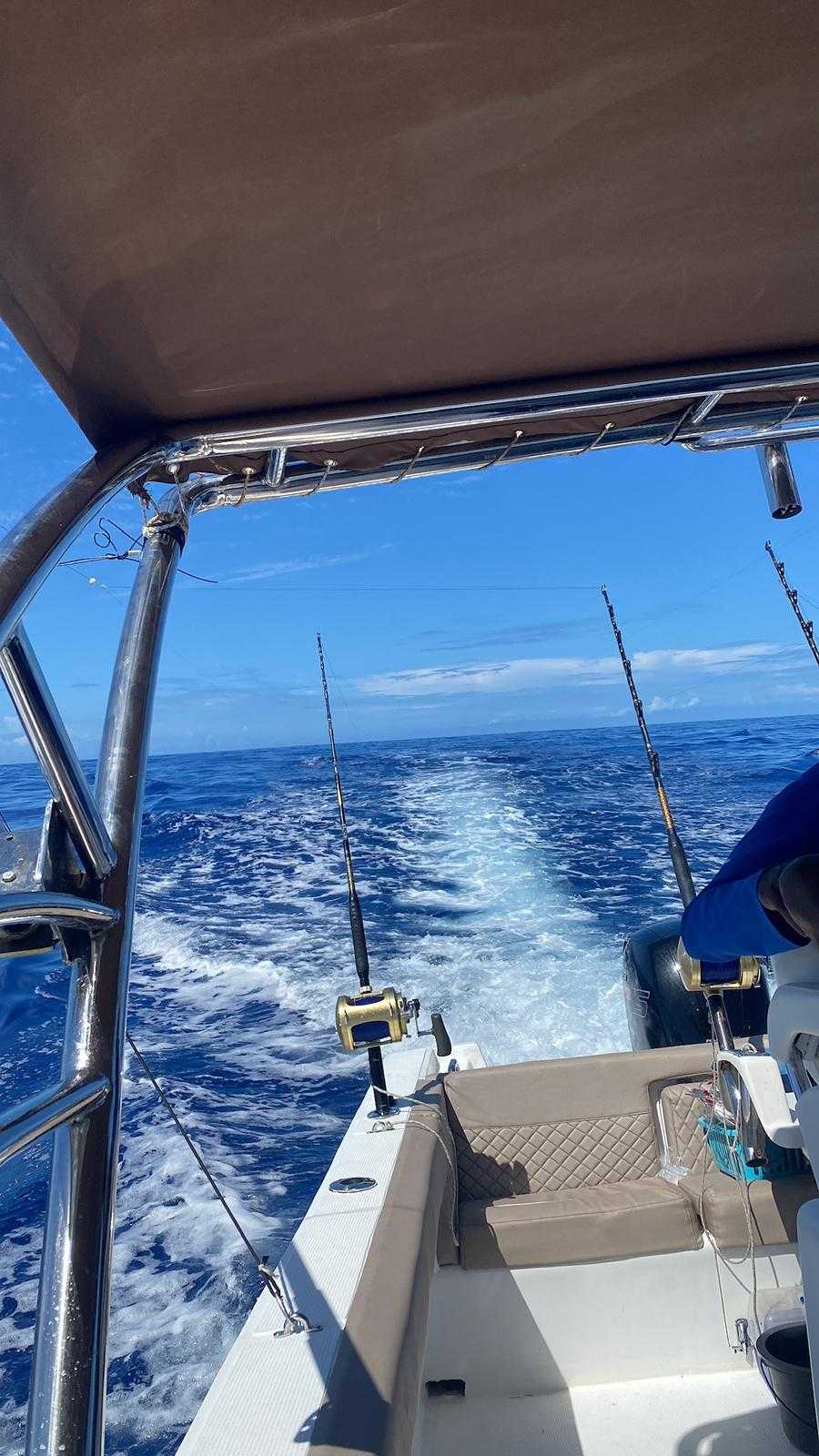 Big Game Fishing