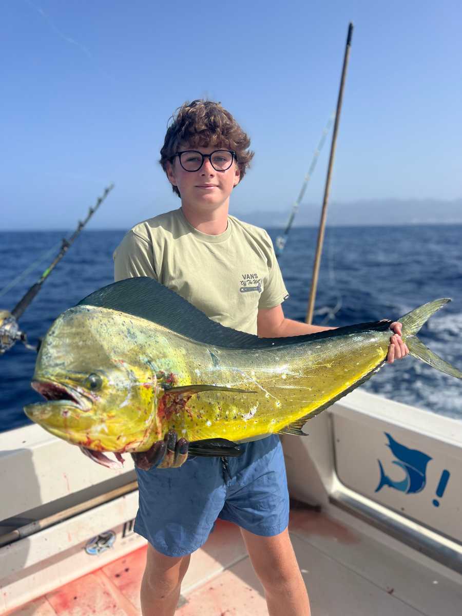 Bottom fishing 6 hours 