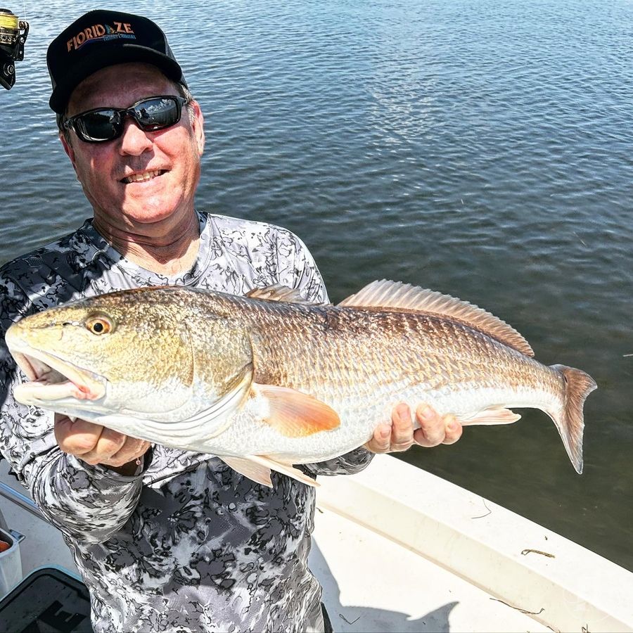 Floridaze Fishing Charters: fishing charters in Bokeelia