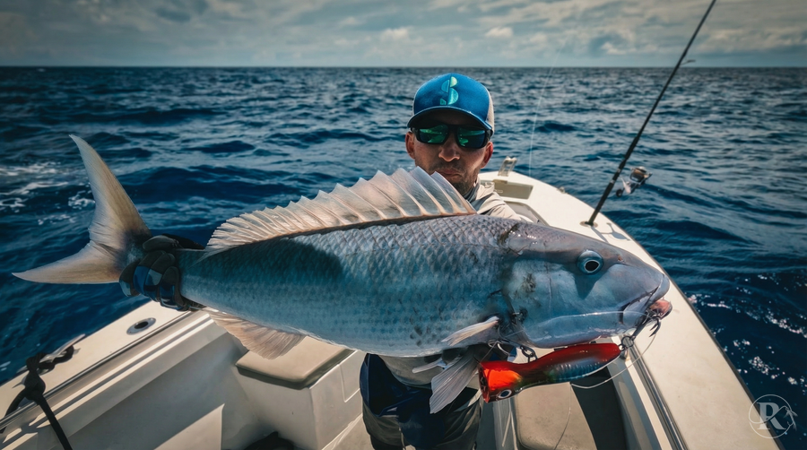 Guided Fishing Trips 