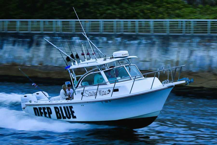 Sport Fishing South Florida