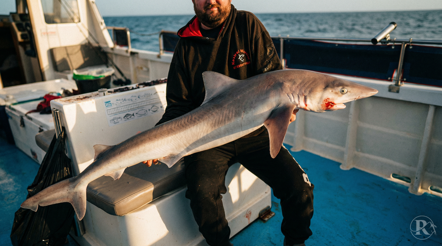 Kestrel warrior fishing trips 