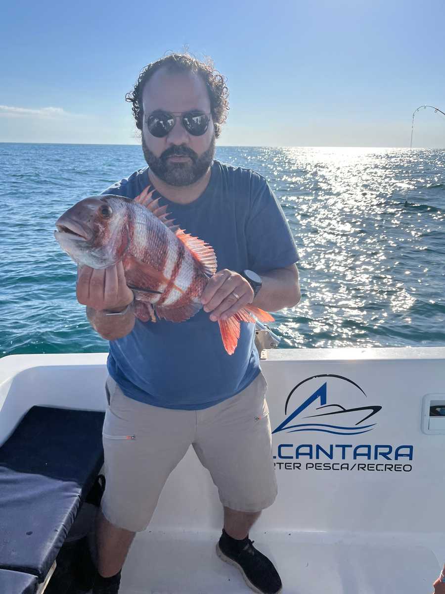 Pesca a fondo