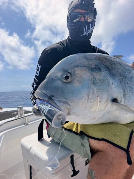 Trevally (Giant) · Victoria
