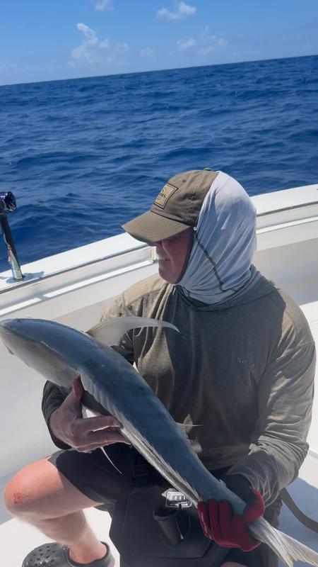 Trevally (Golden)